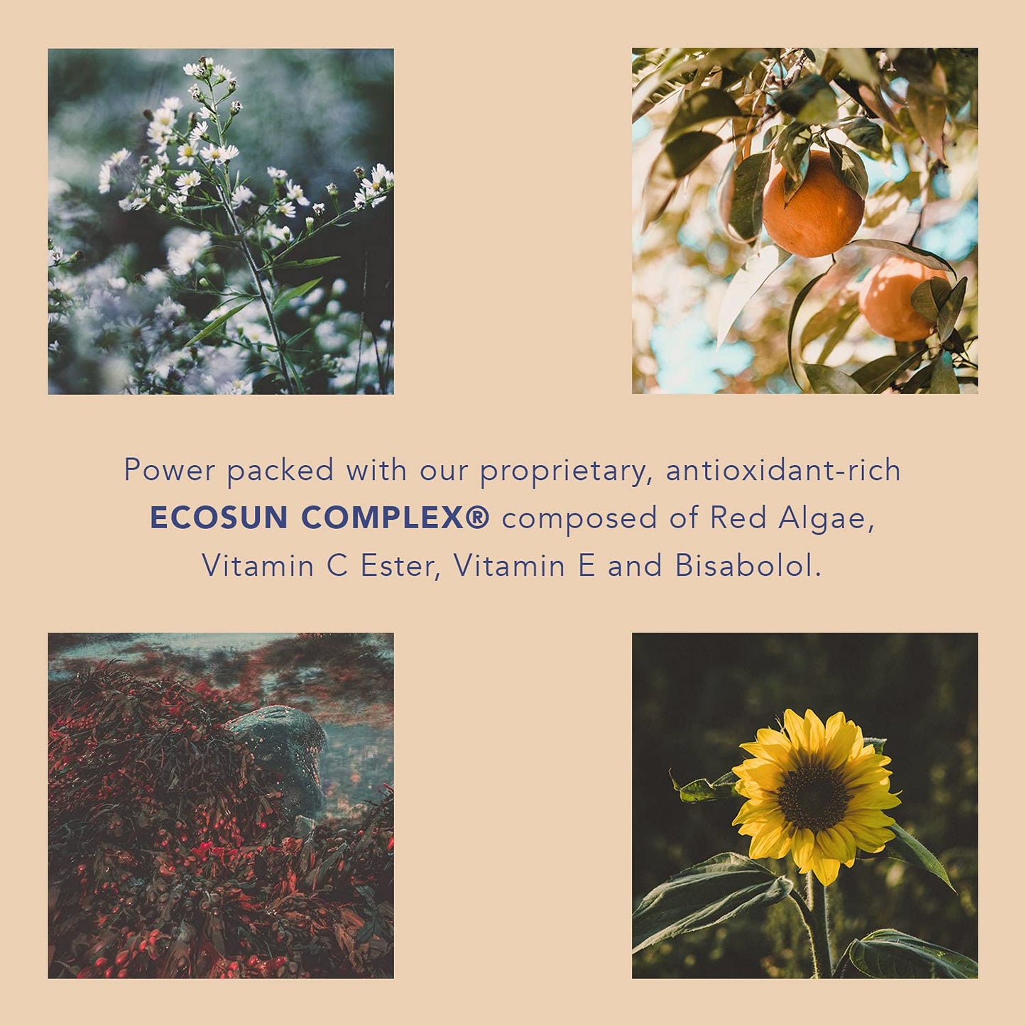 Soleil Toujours EcoSun Complex Mineral Lip Mask SPF 30 – Peptide-Infused Lip Treatment for Hydration, Collagen Support & Clear Mineral SPF