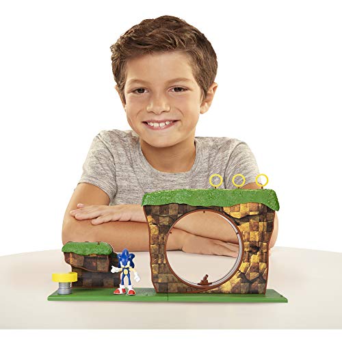 Sonic The Hedgehog Green Hill Zone Playset with 2.5-inch Sonic Action Figure