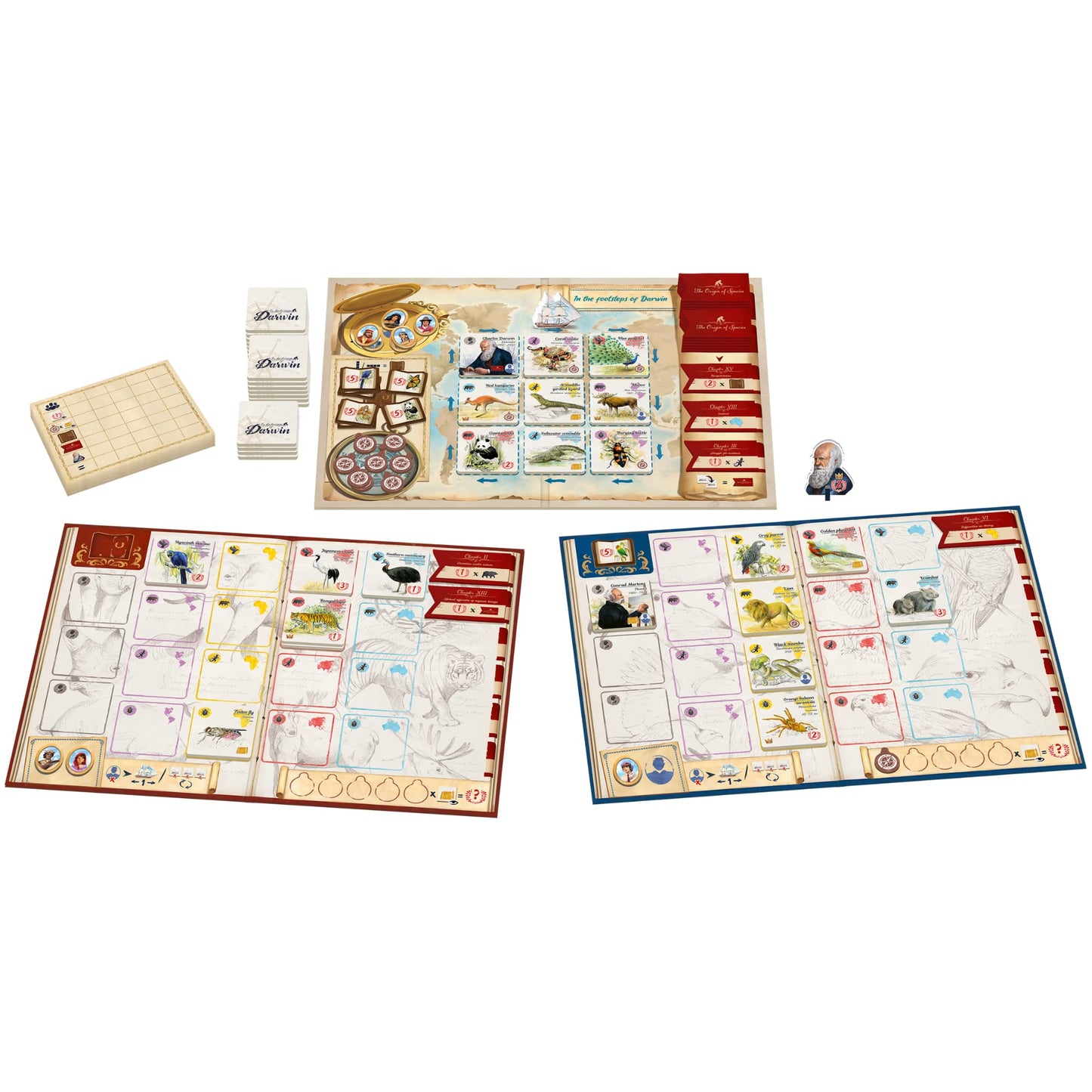 Sorry We Are French - In The Footsteps of Darwin | Mensa Select Winner | Family Tile-Laying Board Game