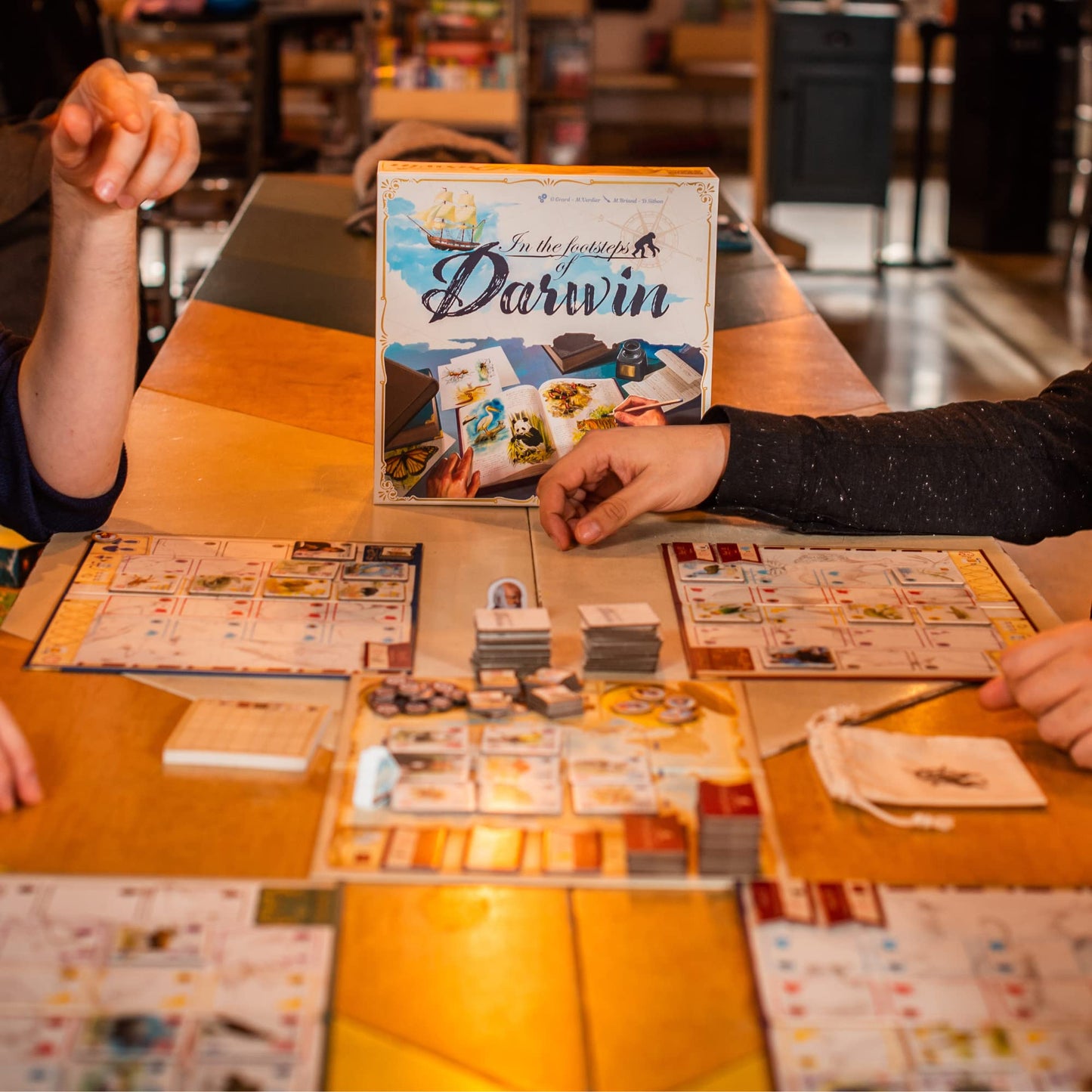 Sorry We Are French - In The Footsteps of Darwin | Mensa Select Winner | Family Tile-Laying Board Game