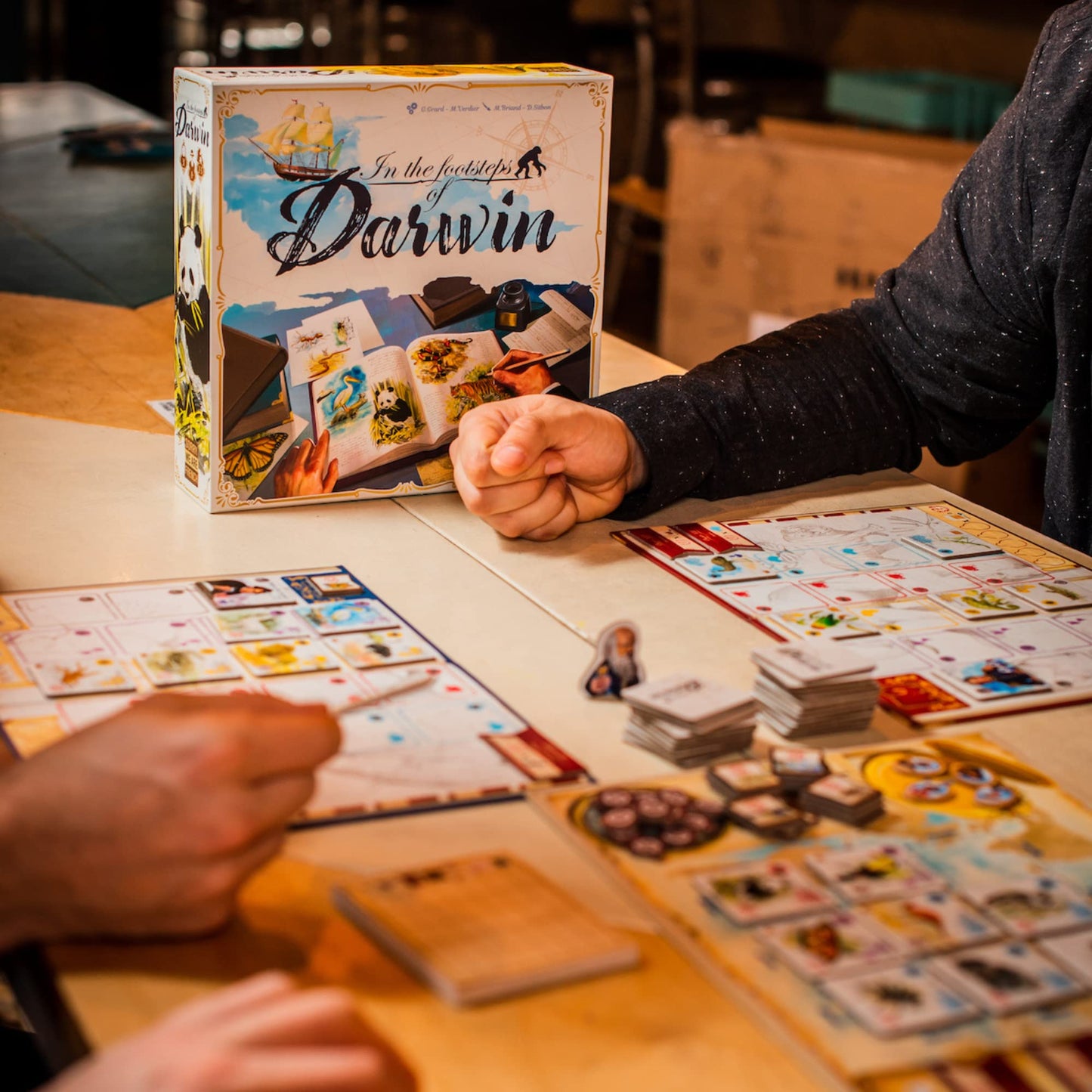 Sorry We Are French - In The Footsteps of Darwin | Mensa Select Winner | Family Tile-Laying Board Game