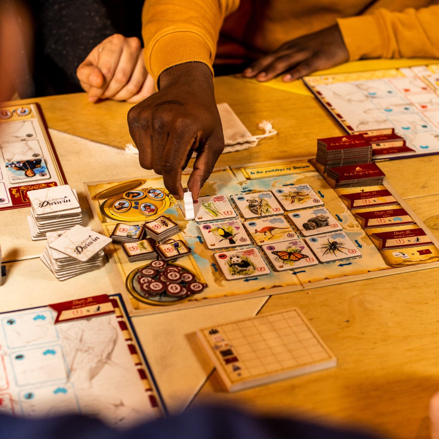 Sorry We Are French - In The Footsteps of Darwin | Mensa Select Winner | Family Tile-Laying Board Game