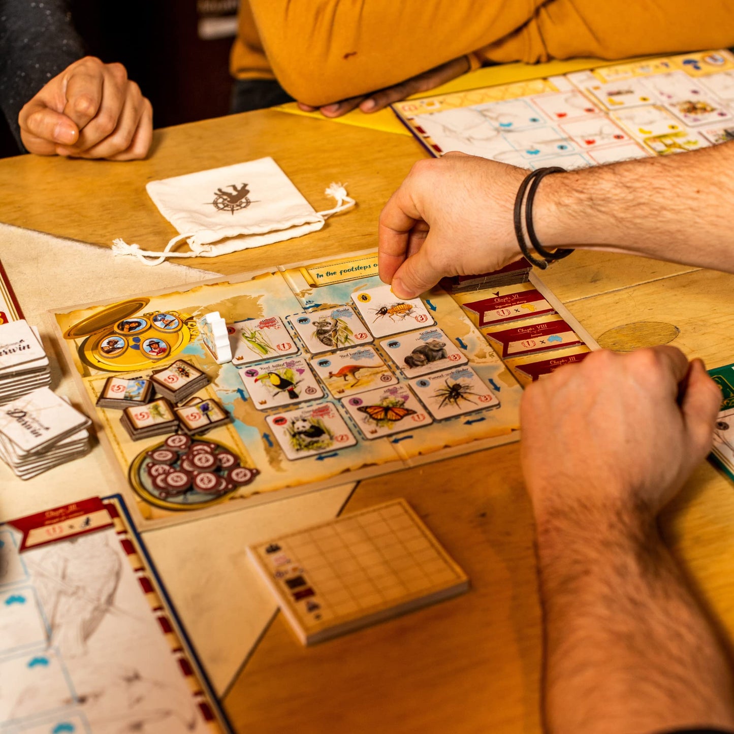 Sorry We Are French - In The Footsteps of Darwin | Mensa Select Winner | Family Tile-Laying Board Game