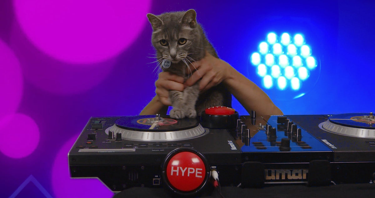 Sound RX Hype Button – Hip Hop Air Horn Sound Effect Button | Fun Gag Toy