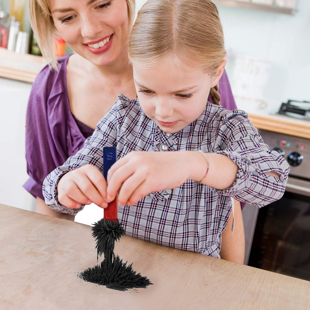 SPACECARE Magnetic Sand Iron Filings for Magnet Education – 12 oz with Shaker Lid