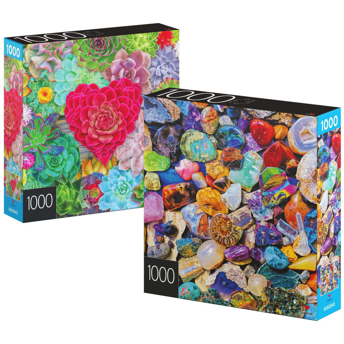 Spin Master Games 2-Pack 1000-Piece Puzzles: Succulents & Rocks and Minerals