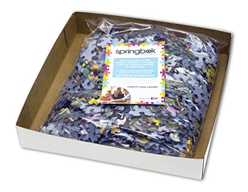 Springbok 500-Piece Jigsaw Puzzle Central Park Paradise – Made in USA
