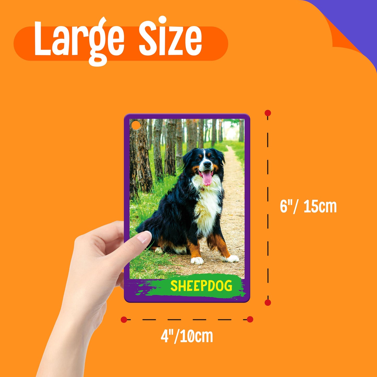 SpriteGru My First 120 Animals Flashcards – 60 Realistic Cards for Kids