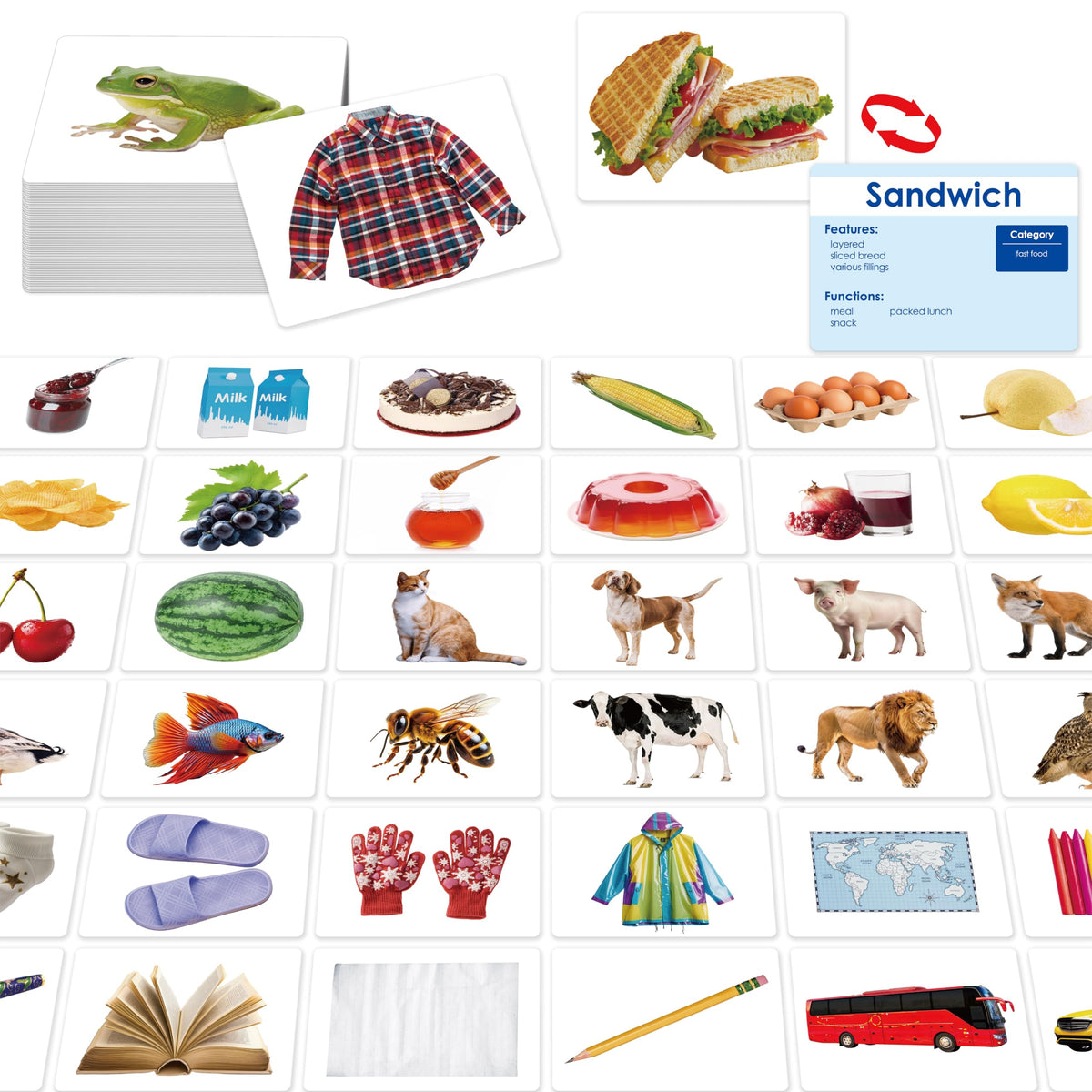 SpriteGru 140 Noun Picture-Word Cards | Language Builder for Toddlers, ESL, and Speech Development