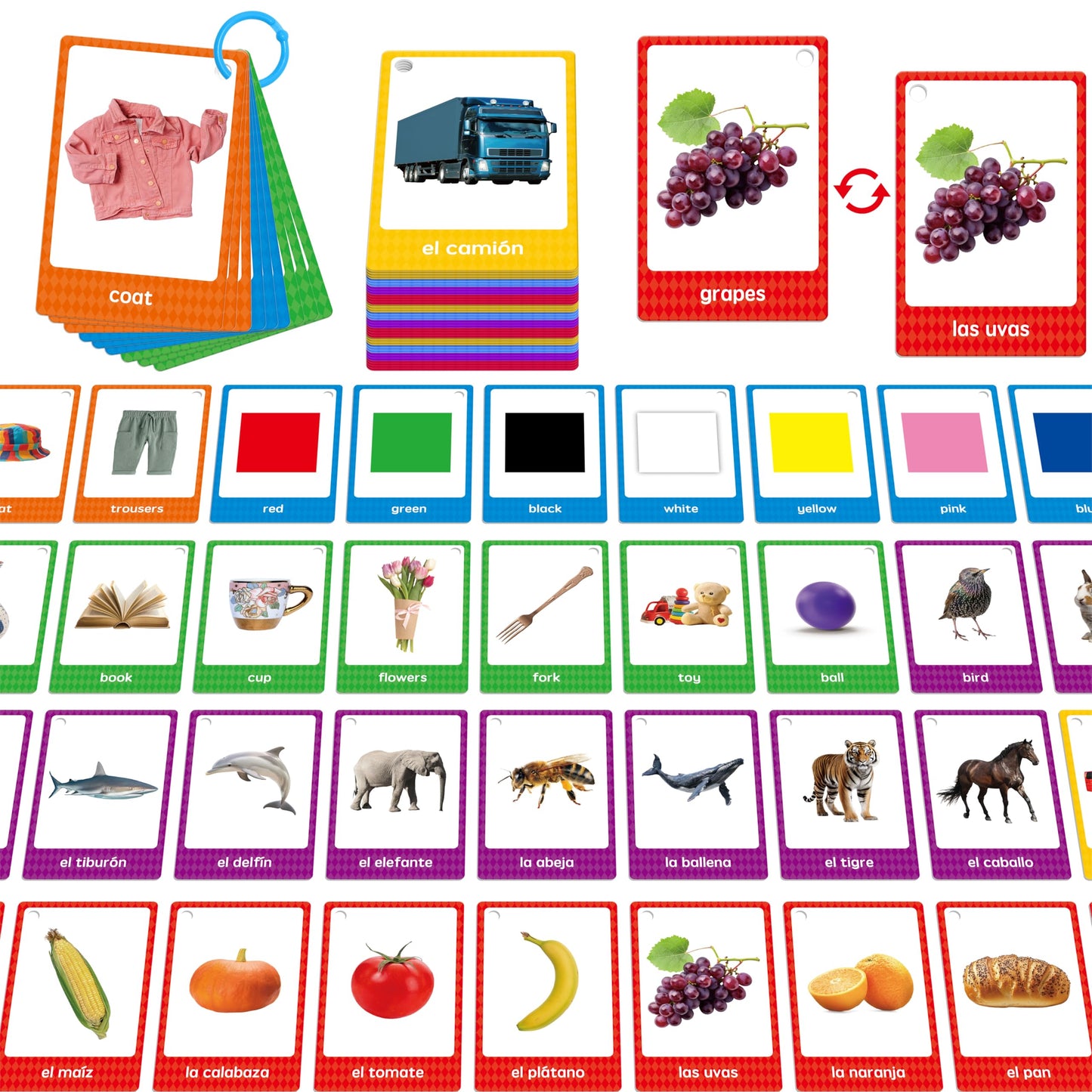 SpriteGru 60 English-Spanish Flash Cards for Beginners | Bilingual Nouns with 2 Rings