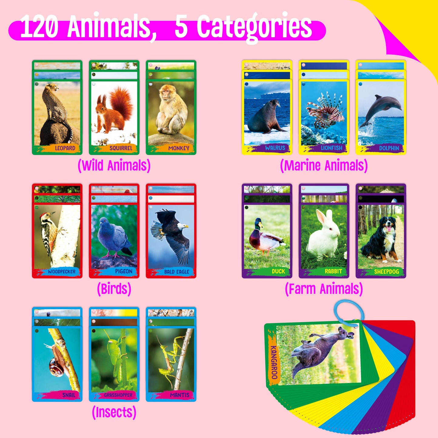 SpriteGru My First 120 Animals Flashcards – 60 Realistic Cards for Kids
