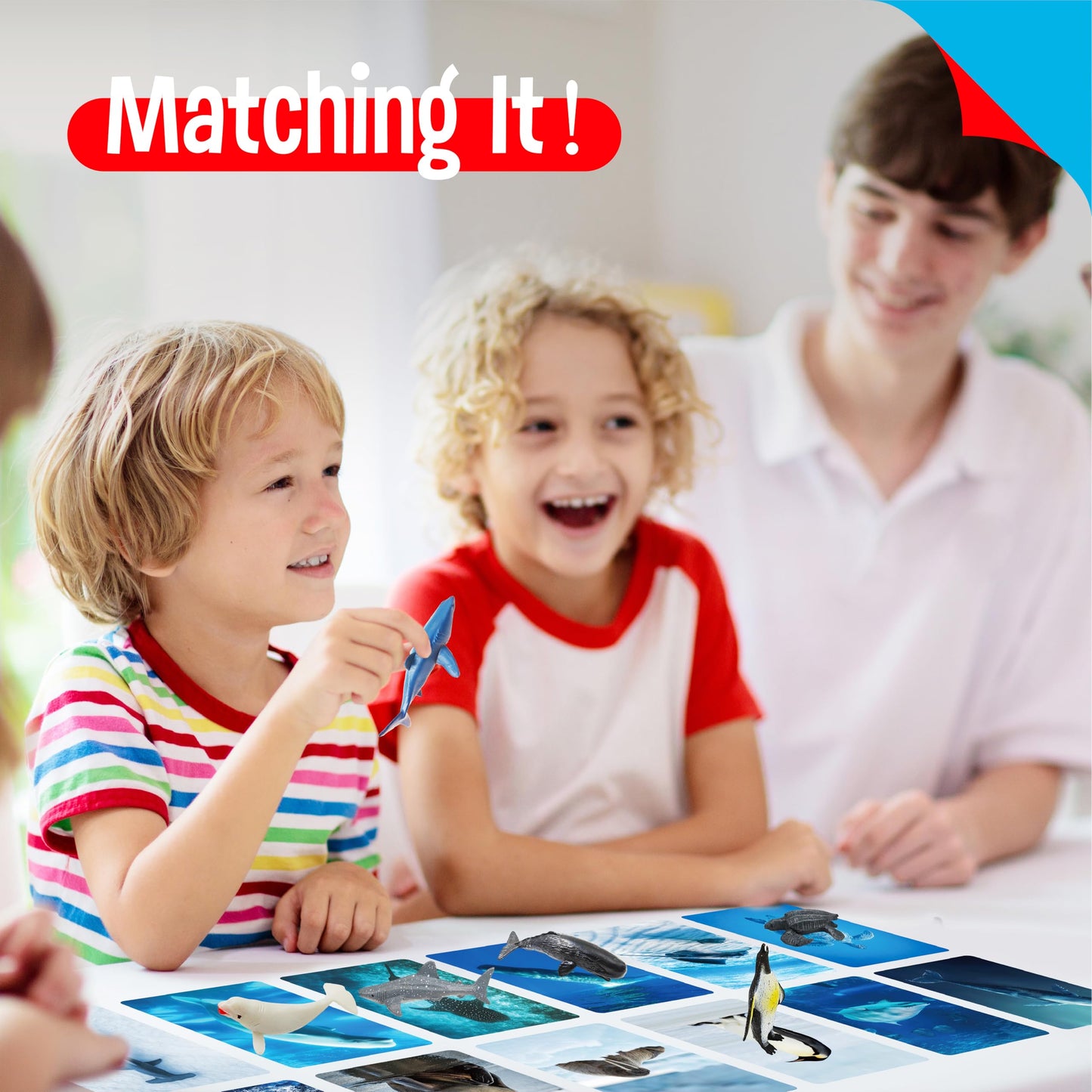 SpriteGru 24-Piece Animal Figurines & Flashcards – Montessori Learning Toy Set for Kids
