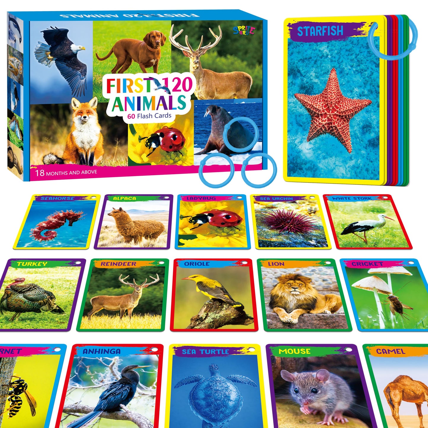 SpriteGru My First 120 Animals Flashcards – 60 Realistic Cards for Kids