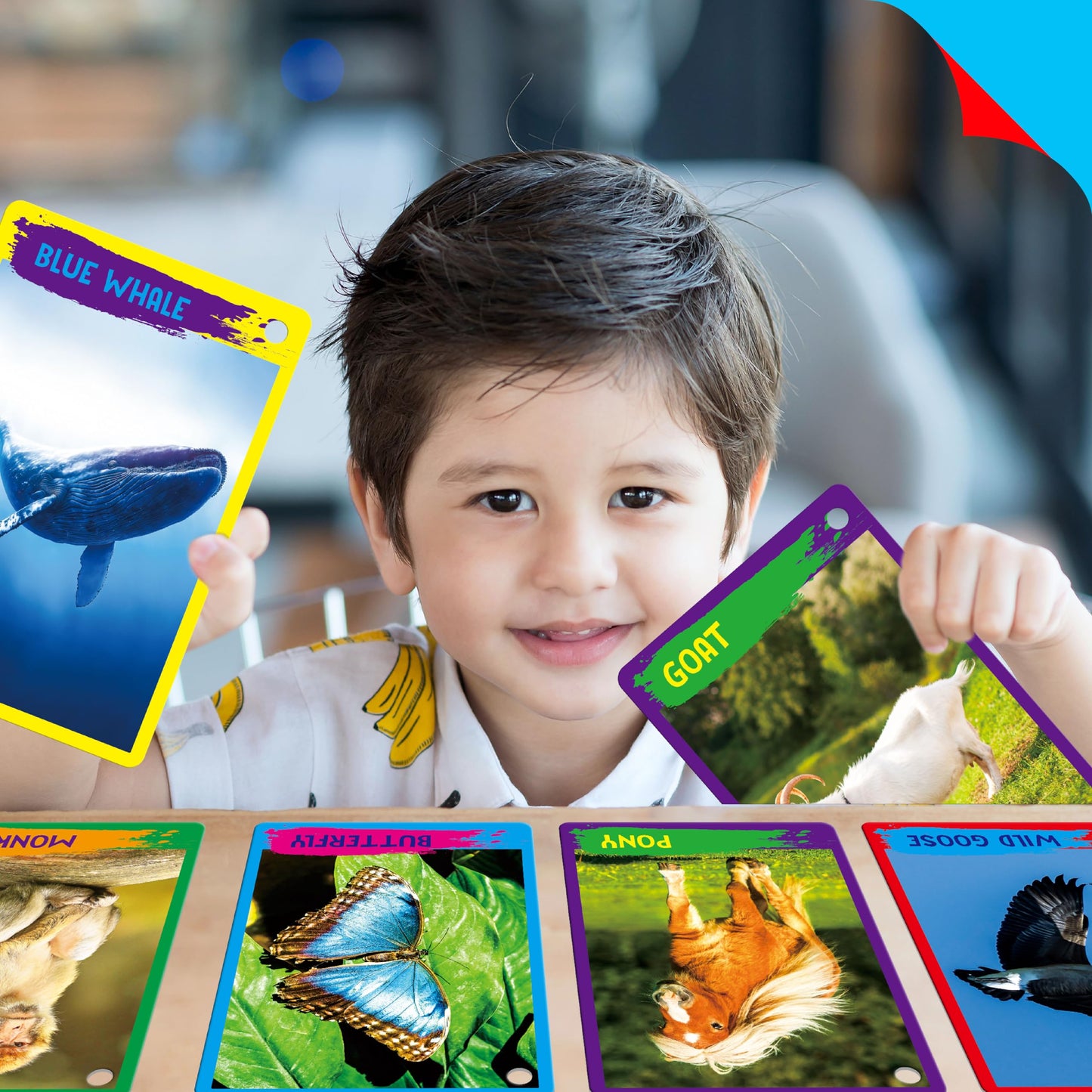 SpriteGru My First 120 Animals Flashcards – 60 Realistic Cards for Kids