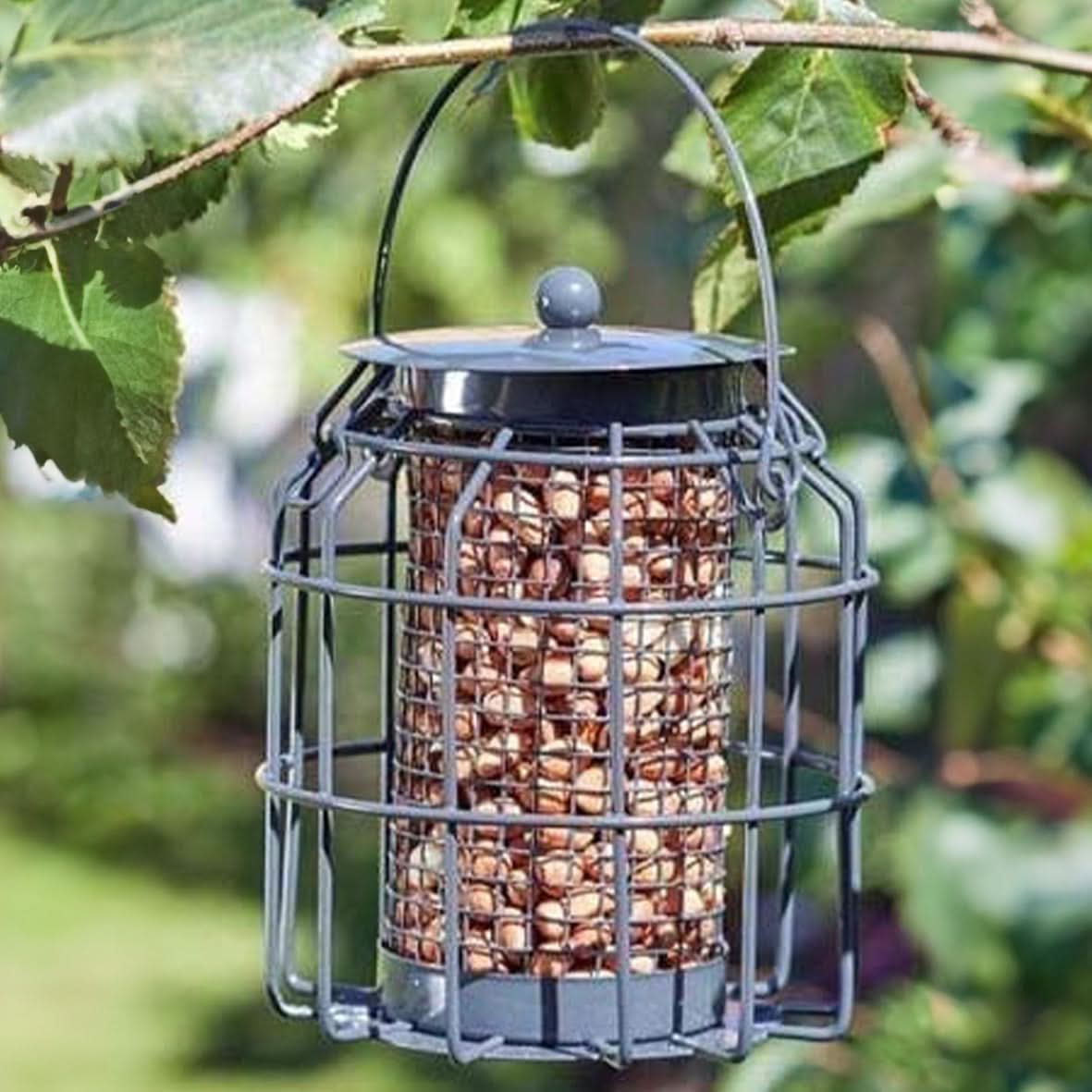 Hanging Bird Peanut Feeder Cage with Squirrel Guard