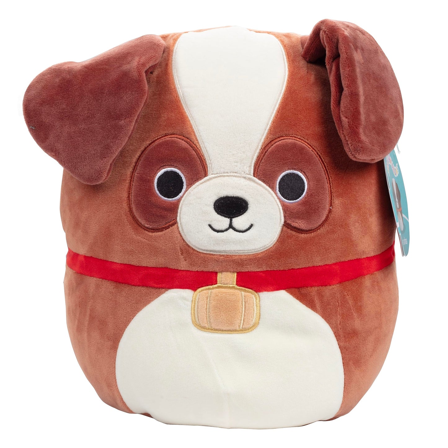 Squishmallows Sassafras 10 Inch St. Bernard Dog – Officially Licensed Kellytoy Plush