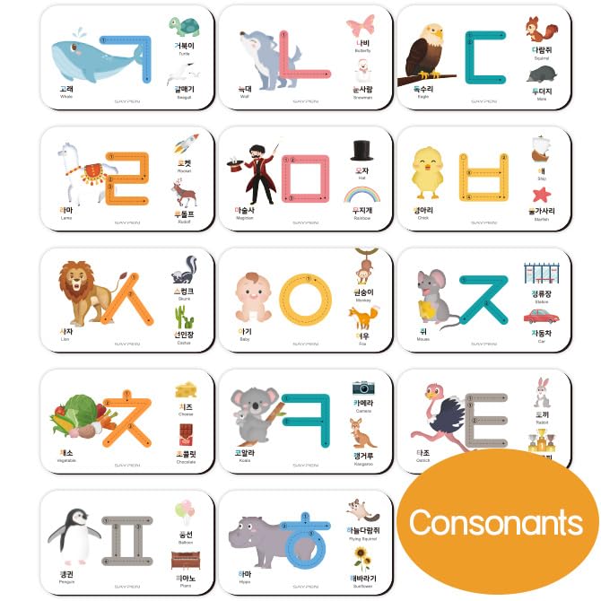 SSol & Sam Hangul Alphabet Learning Toys – Korean Letters & Flash Cards for Kids