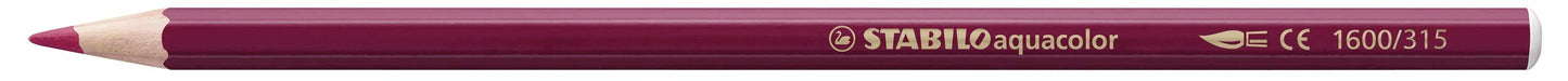 STABILO Aquarellable Colouring Pencil ARTY – Pack of 24 Assorted Colors