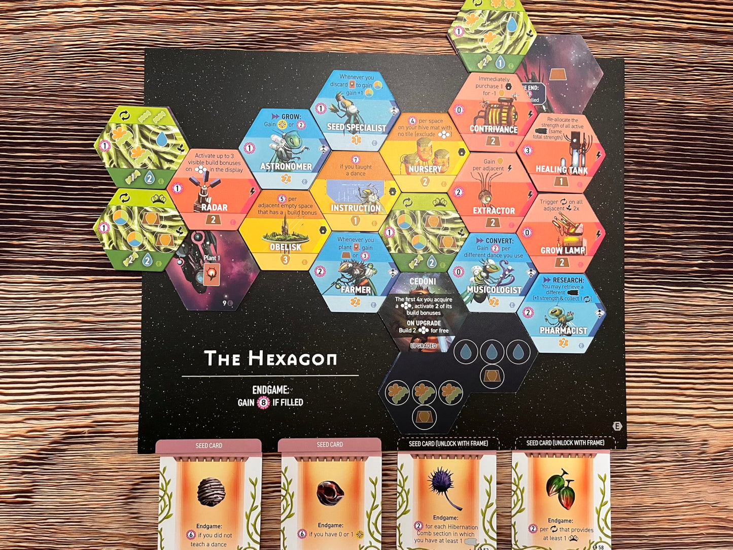 Stonemaier Games: Apiary Expansion – Expanding The Hive with New Frames, Hex Tiles & More | 1-5 Players, 60-90 Mins, Ages 14+