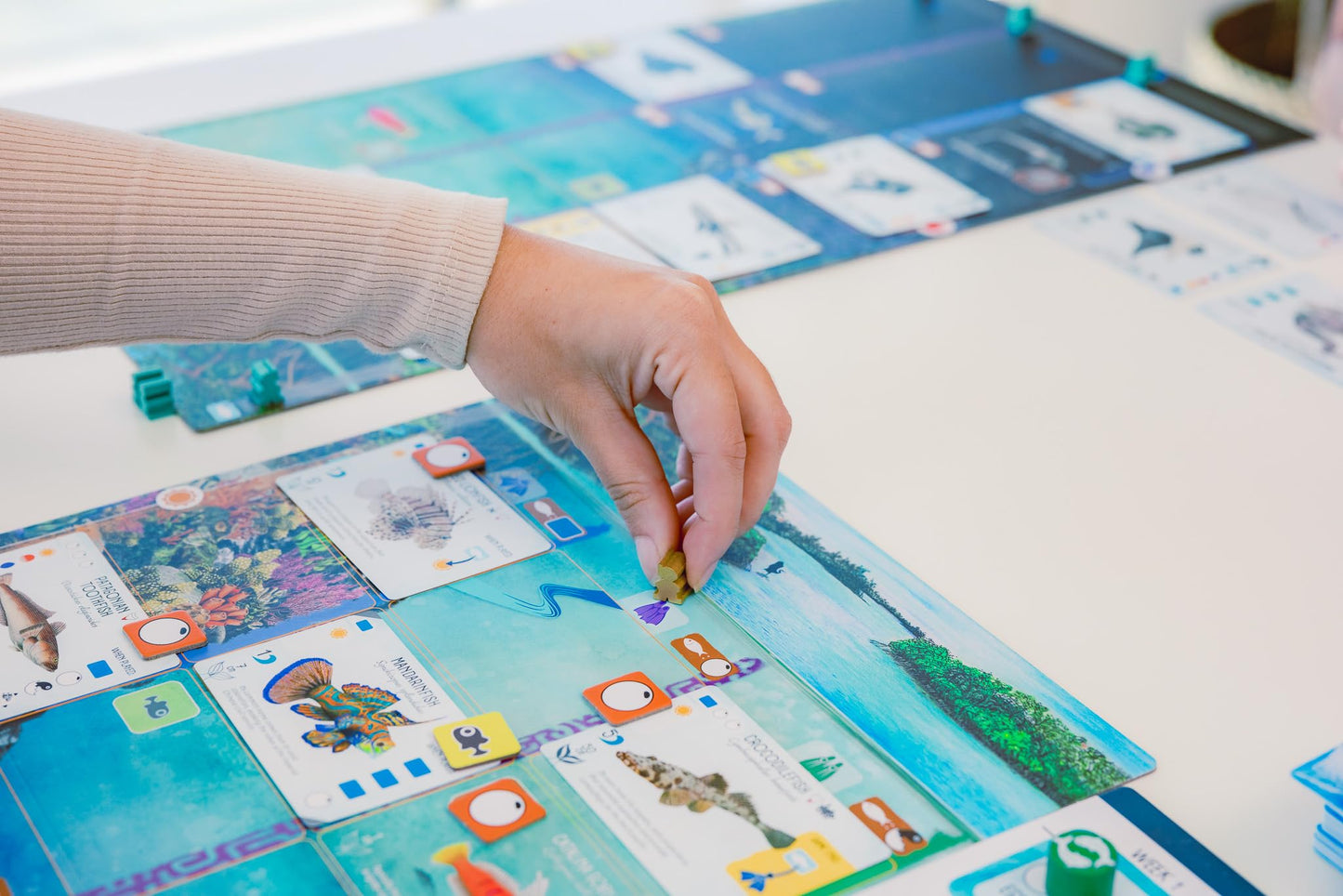 Stonemaier Finspan – Wingspan-Inspired Ocean Strategy Game for 1-5 Players | About 60 Minutes