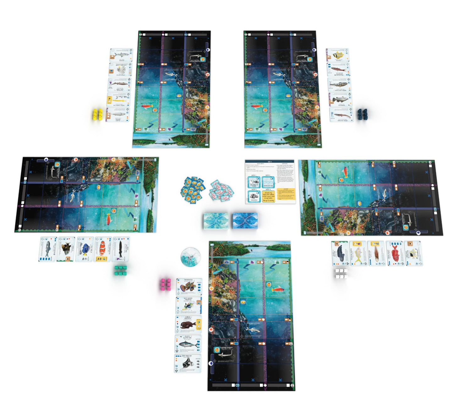 Stonemaier Finspan – Wingspan-Inspired Ocean Strategy Game for 1-5 Players | About 60 Minutes