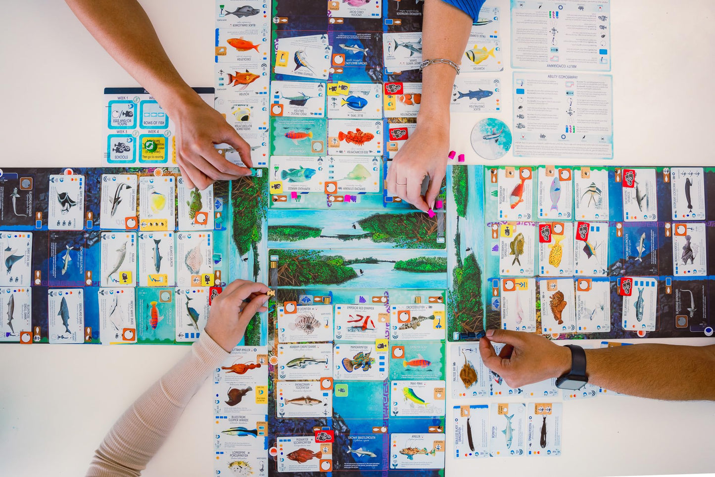 Stonemaier Finspan – Wingspan-Inspired Ocean Strategy Game for 1-5 Players | About 60 Minutes