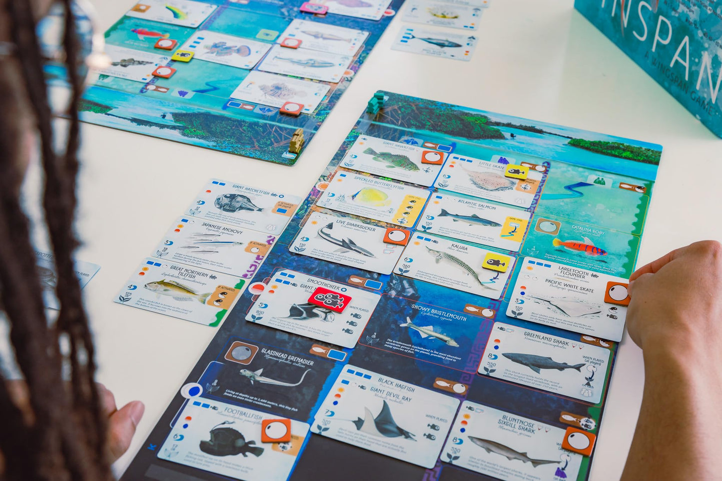 Stonemaier Finspan – Wingspan-Inspired Ocean Strategy Game for 1-5 Players | About 60 Minutes