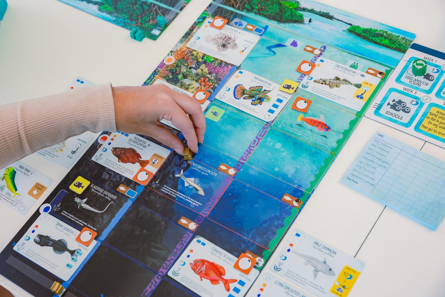 Stonemaier Finspan – Wingspan-Inspired Ocean Strategy Game for 1-5 Players | About 60 Minutes