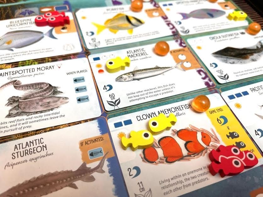 Stonemaier Games Finspan Upgrade Pack – Squishy Eggs & Wooden Fish Tokens