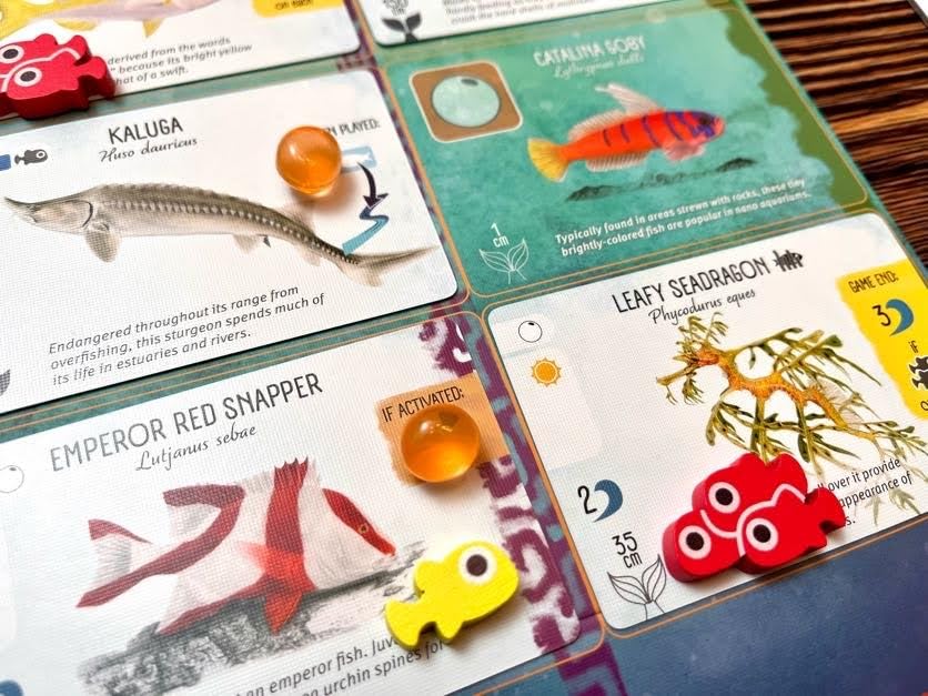 Stonemaier Games Finspan Upgrade Pack – Squishy Eggs & Wooden Fish Tokens