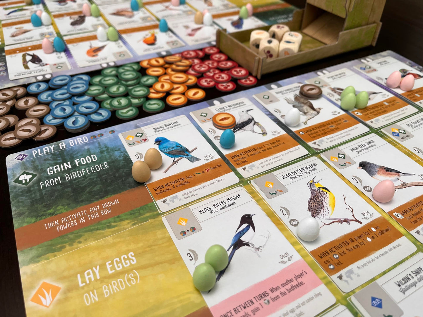 Stonemaier Wingspan (Base Game) – Award-Winning Bird-Collection Strategy for 1-5 Players