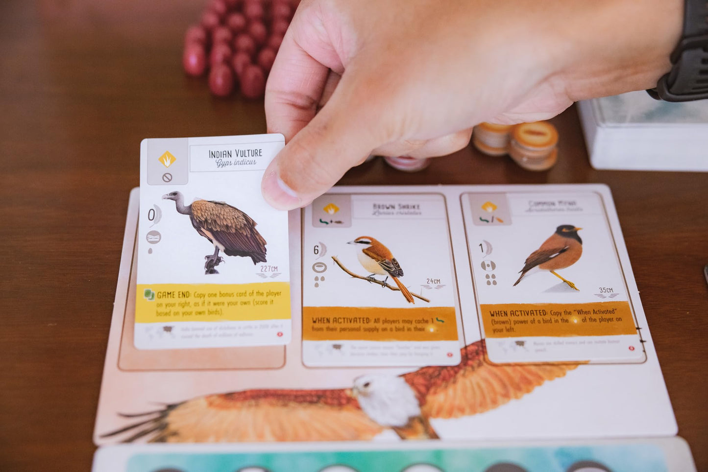 Stonemaier Games: Wingspan Asia by Elizabeth Hargrave | Standalone or Wingspan Expansion | 1-2 Players, 45-70 Mins
