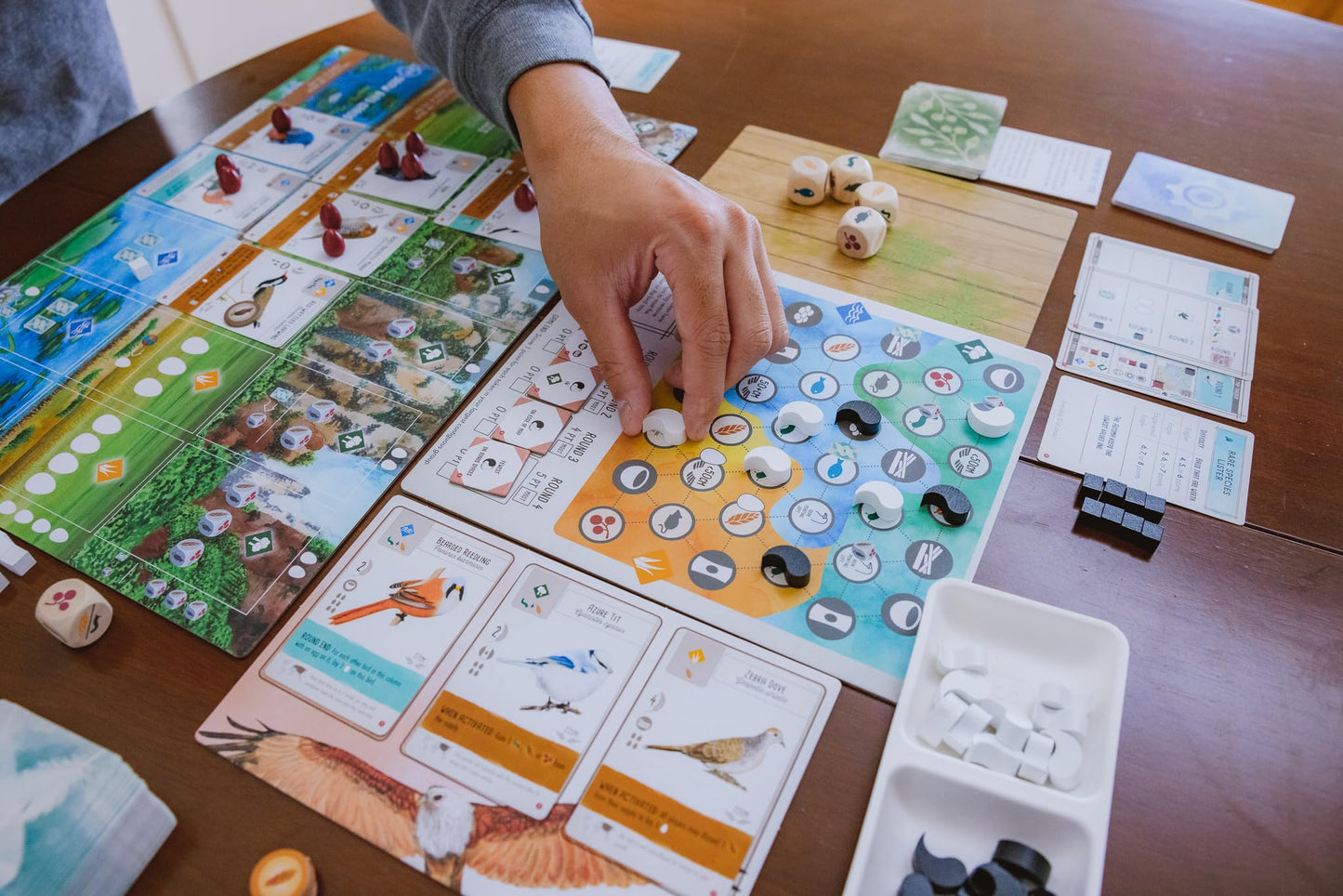Stonemaier Games: Wingspan Asia by Elizabeth Hargrave | Standalone or Wingspan Expansion | 1-2 Players, 45-70 Mins