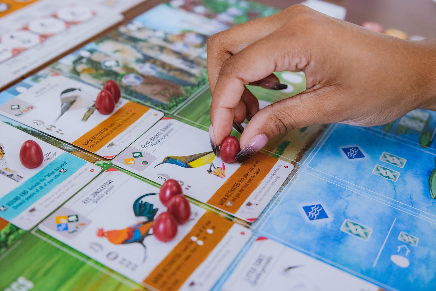 Stonemaier Games: Wingspan Asia by Elizabeth Hargrave | Standalone or Wingspan Expansion | 1-2 Players, 45-70 Mins