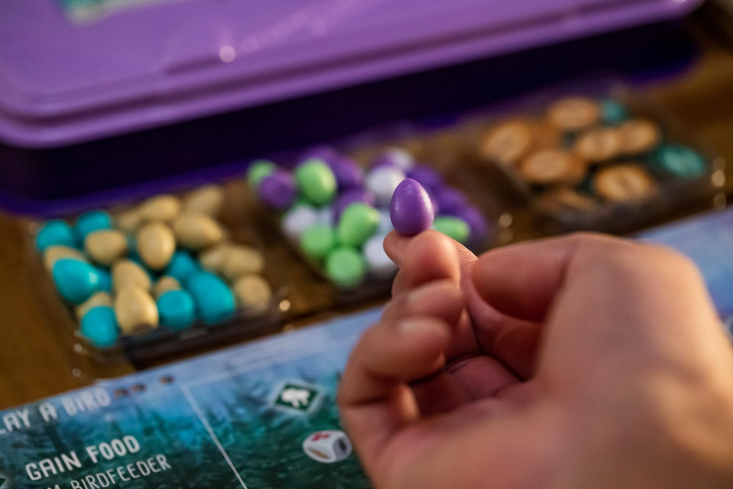 Stonemaier Wingspan European Expansion – 81 New Birds, New Eggs & Goals