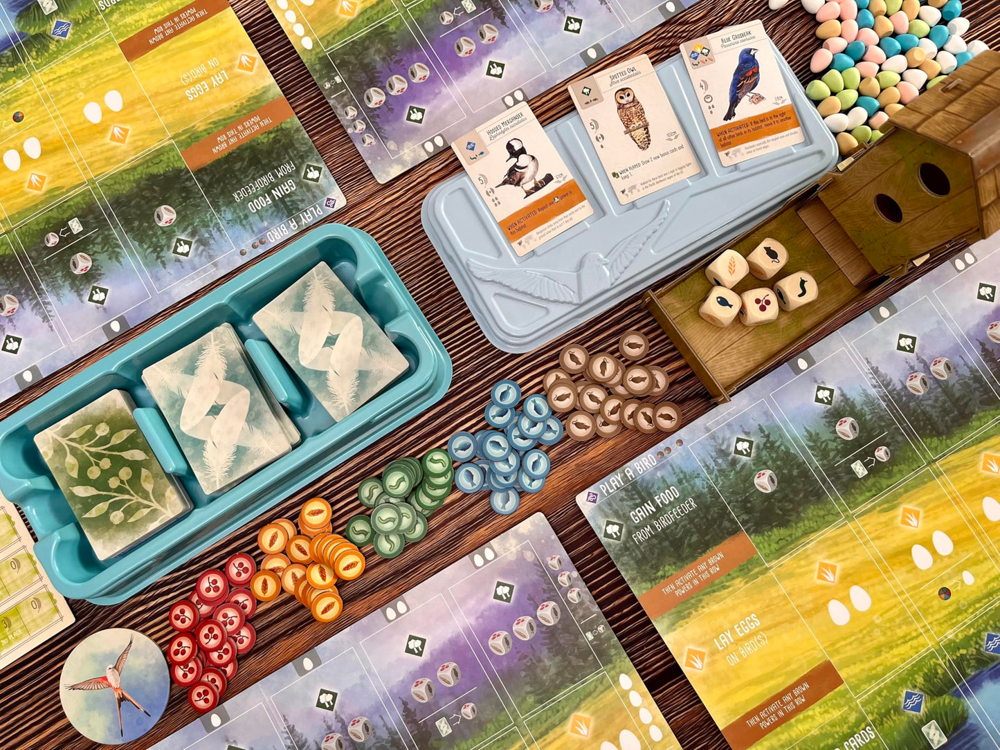 Stonemaier Wingspan (Base Game) – Award-Winning Bird-Collection Strategy for 1-5 Players