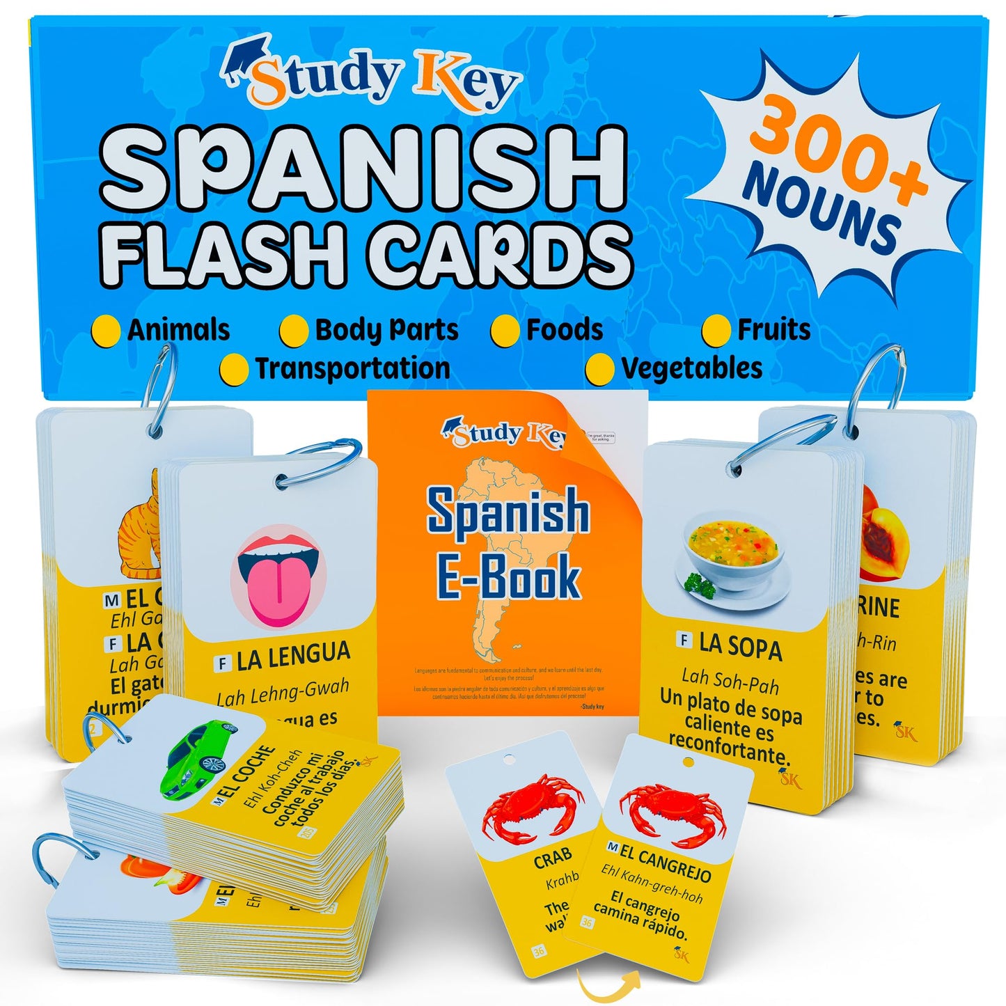 Study Key: 300 Spanish Vocabulary Flashcards — Bilingual English/Spanish for Adults & Kids