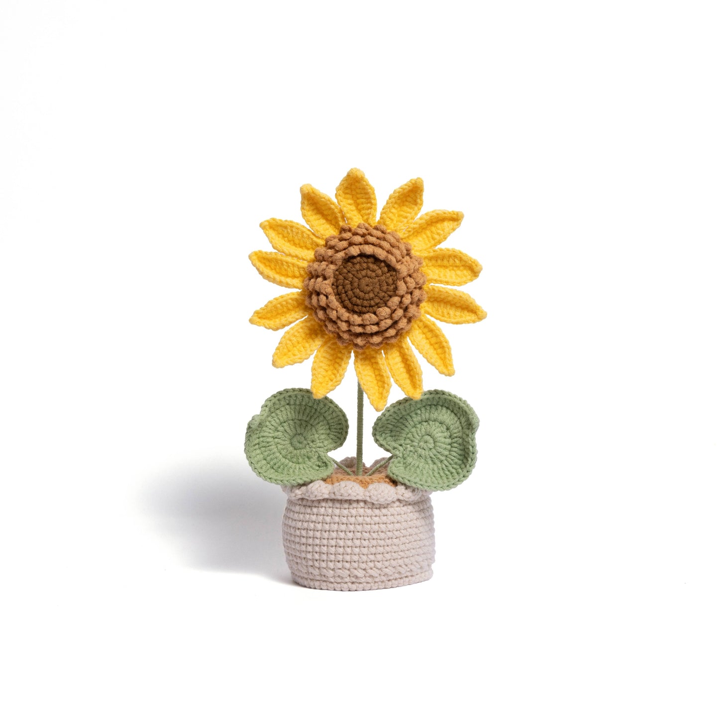 XXL Pot Plants : Larger the size, Bigger the smile