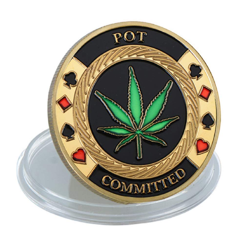 SW Poker Card-Guard Coin with Acrylic Case – Golden Token Chips for Table Games, Collectible Gift for Husband, Father, Friends