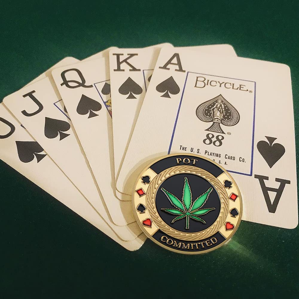 SW Poker Card-Guard Coin with Acrylic Case – Golden Token Chips for Table Games, Collectible Gift for Husband, Father, Friends