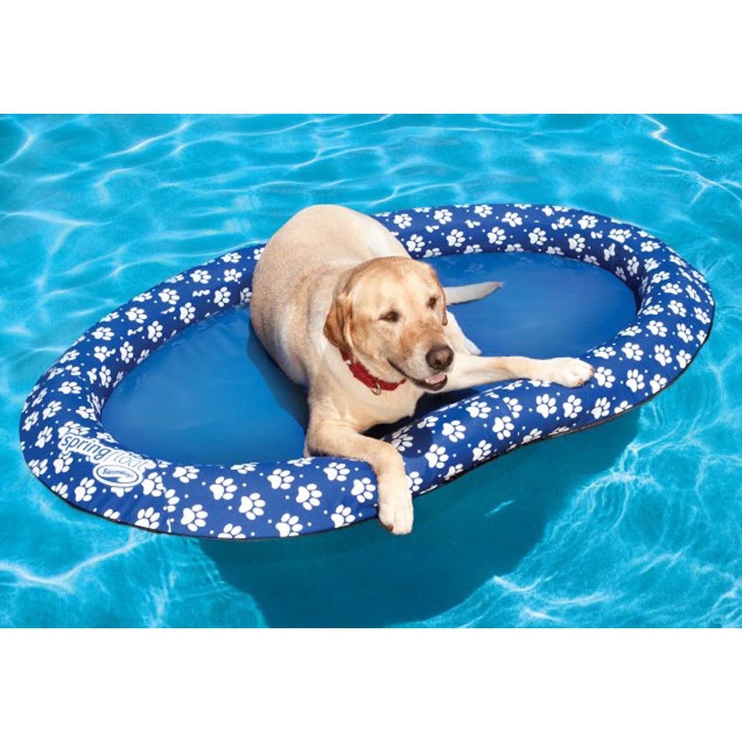 SwimWays Paddle Paws Spring Float Dog Raft – Large 65+ lbs, Blue