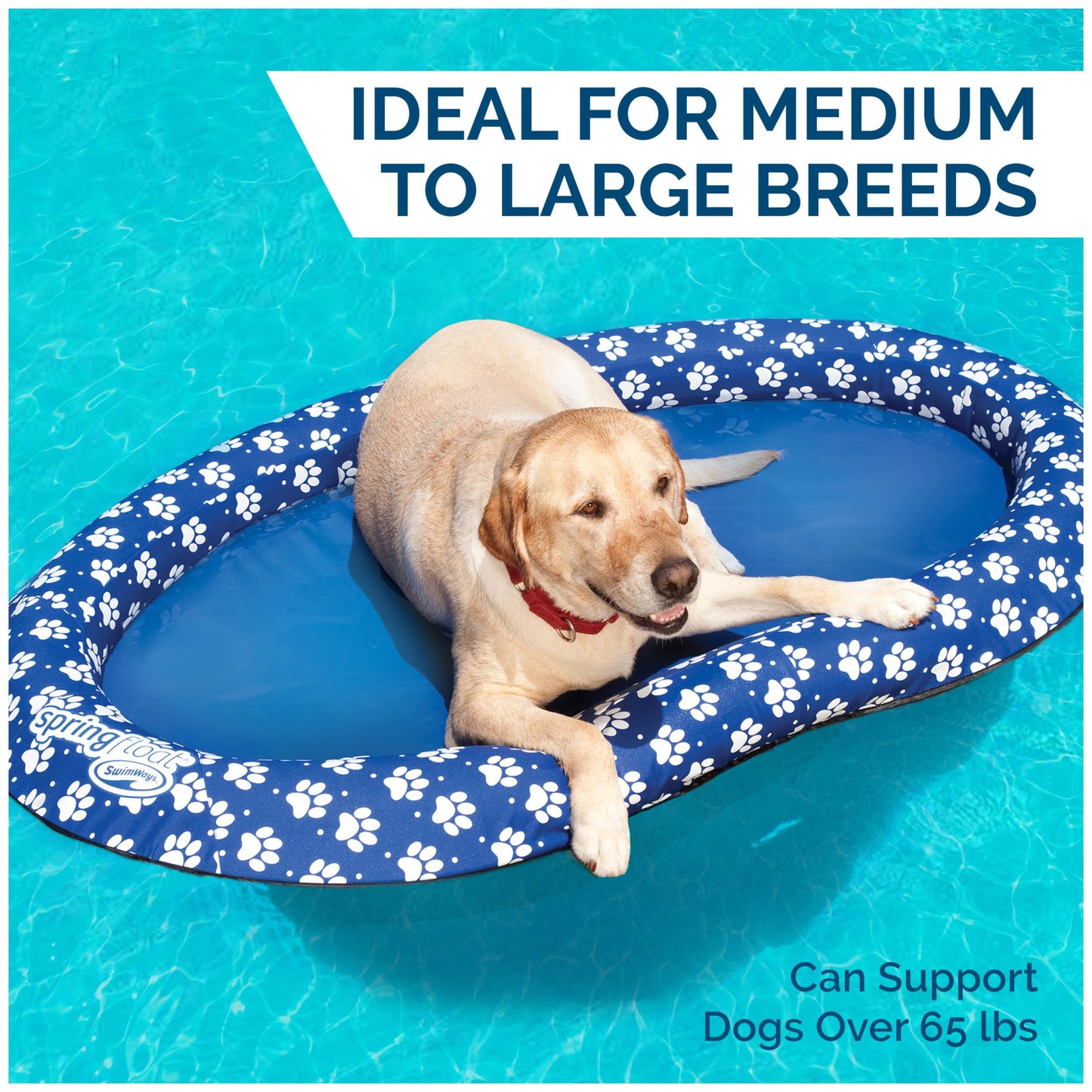 SwimWays Paddle Paws Spring Float Dog Raft – Large 65+ lbs, Blue