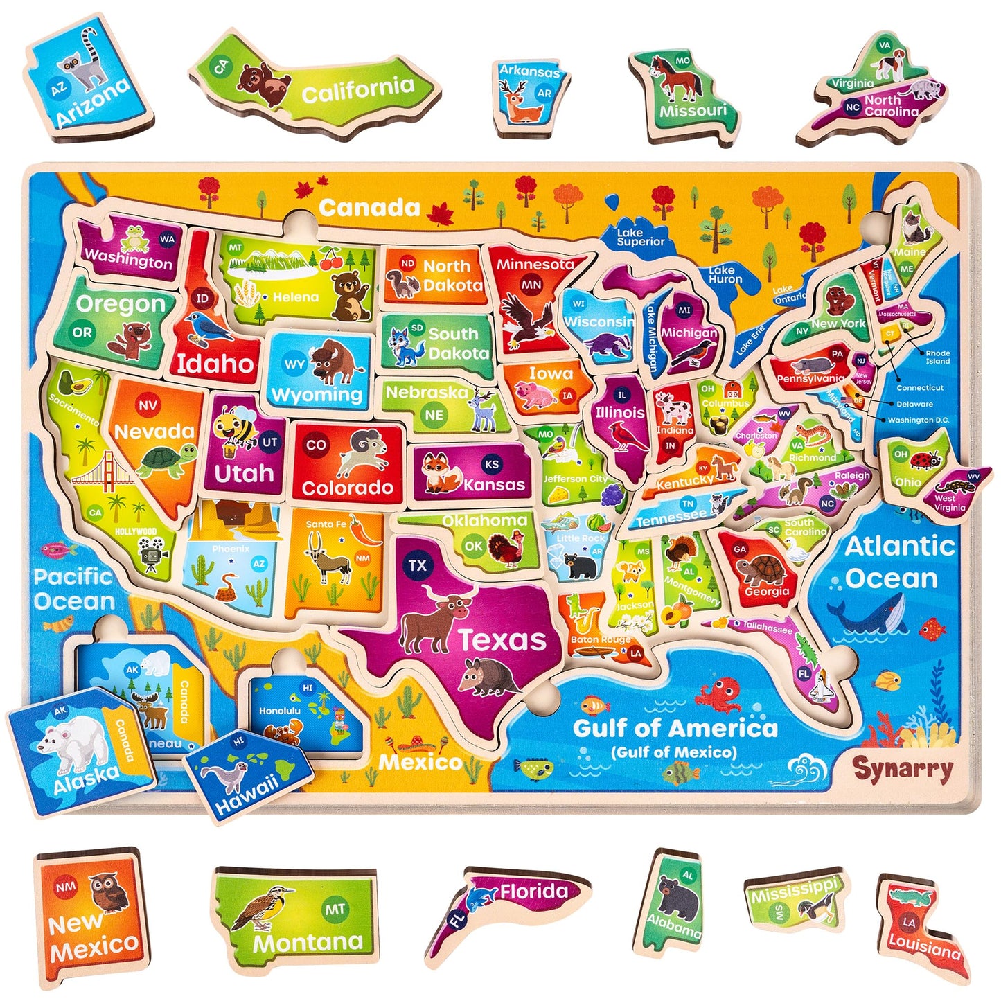 SYNARRY Large USA Wooden Puzzle for Kids – Learn US Geography (Ages 3-8)