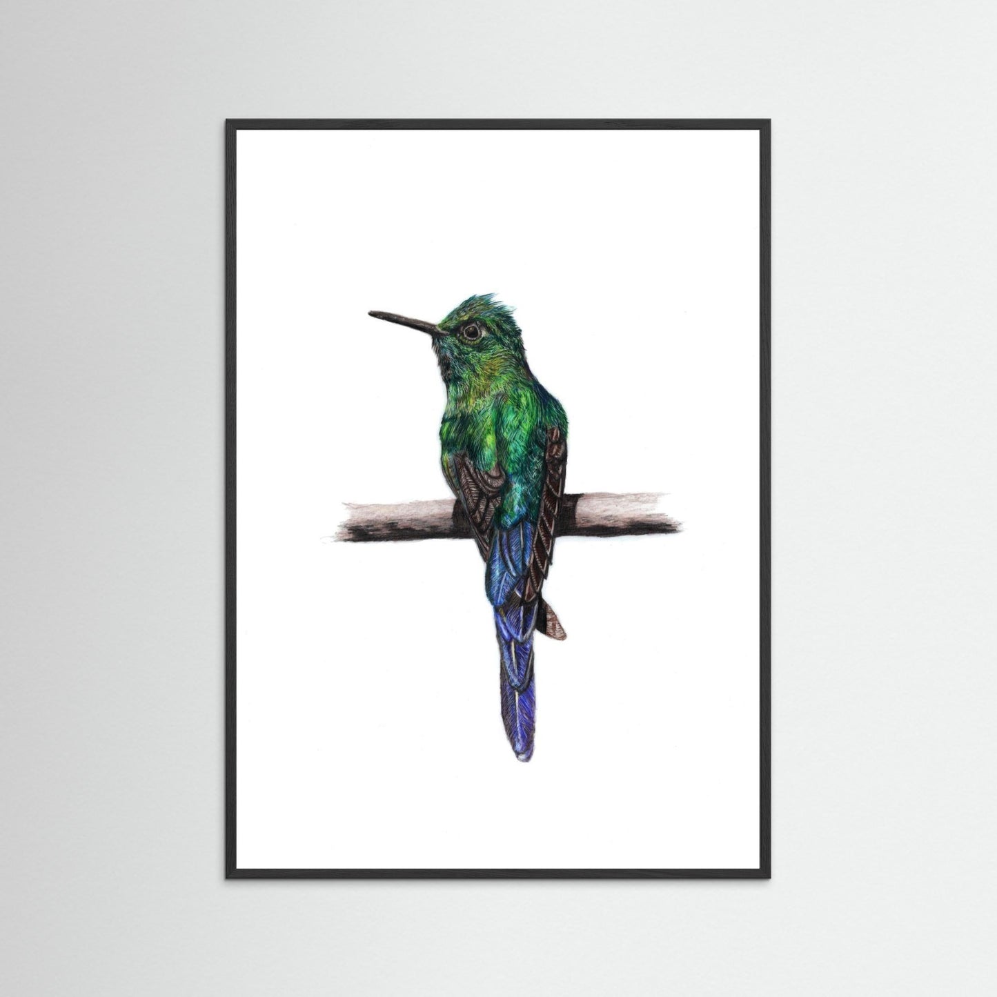 Hummingbird Wall Art Print – Fine Art Wildlife Illustration