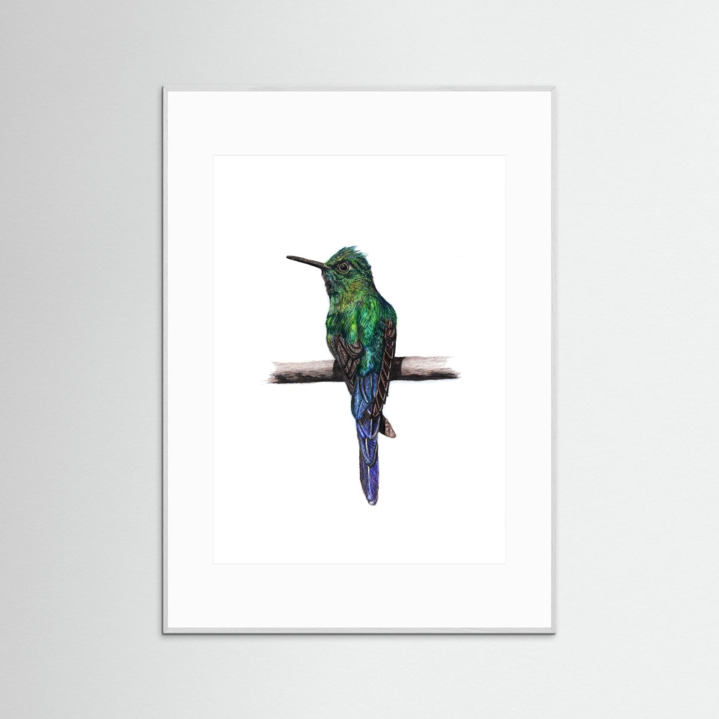Hummingbird Wall Art Print – Fine Art Wildlife Illustration