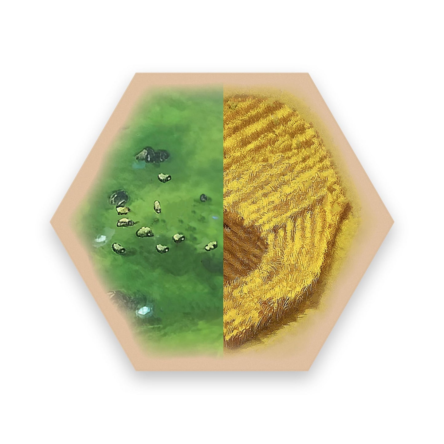 Tabletop Monthly Split Resource Hex Set – Replacement Hexes for Catan Base & Expansions (US-Printed)