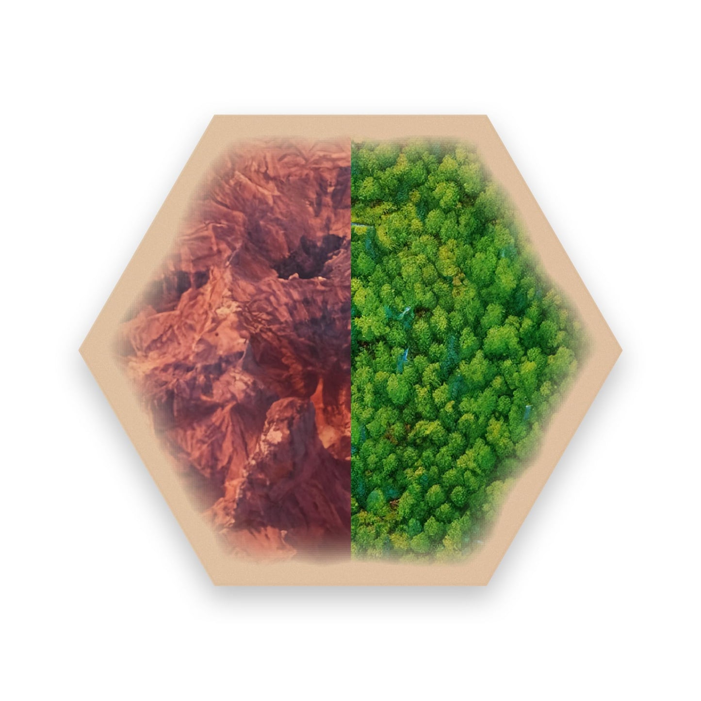 Tabletop Monthly Split Resource Hex Set – Replacement Hexes for Catan Base & Expansions (US-Printed)