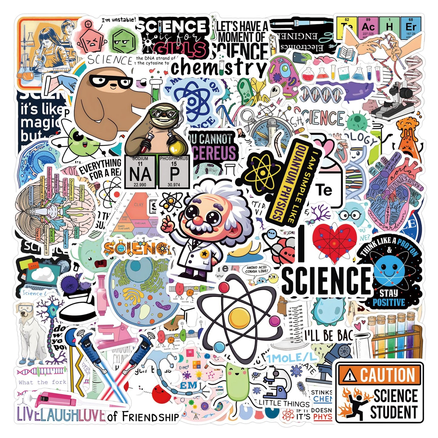 TaiLiHaile 110pcs Science Stickers Pack – Chemistry Biology Physics Classroom Decor