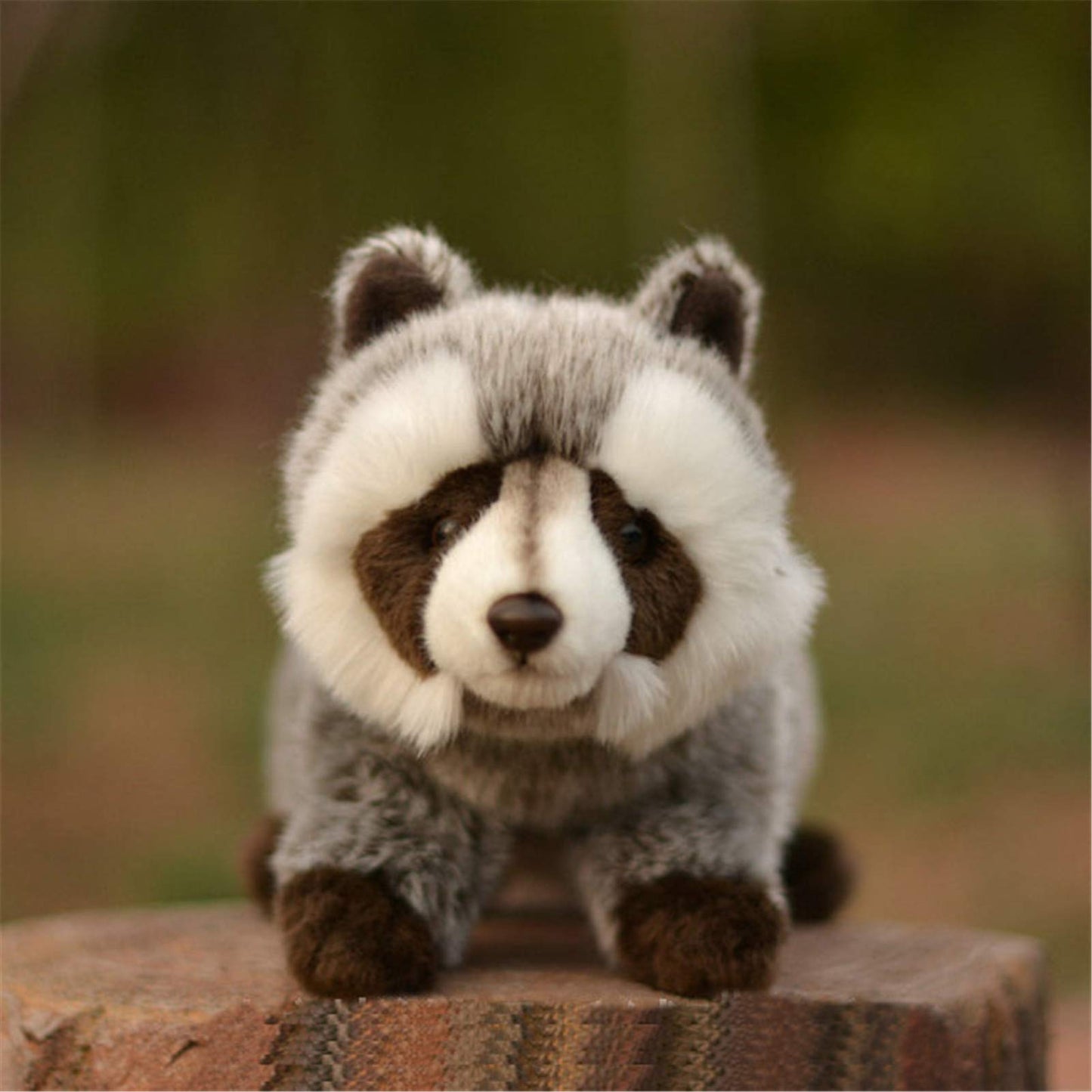 TAMMYFLYFLY 12-Inch Raccoon Plush Stuffed Toy – Soft, Washable, Collectible