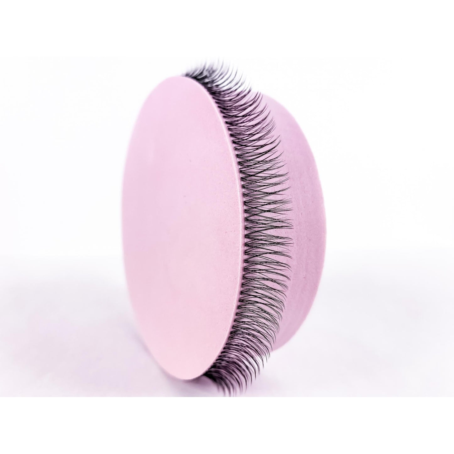 Tara - 'C' Curl Lash Ribbons® Invisible Band